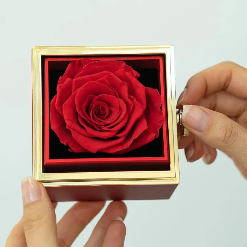 BOÎTE ÉLÉGANTE AVEC COLLIER DOUBLE CŒUR & ROSE