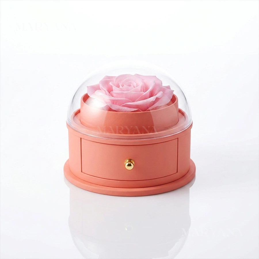 BOÎTE ROSE LUMIÈRE ROSE AVEC COLLIER CŒUR TRÈFLE MAGNÉTIQUE ROSE