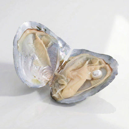 COLLIER CŒUR ÉTERNEL AVEC PERLE – ÉDITION LUXE